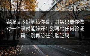客服话术拆解给你看，其实只要你做对一件事就能躲开：别再给任何验证码；别再给任何验证码