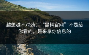 越想越不对劲：“黑料官网”不是给你看的，是来拿你信息的