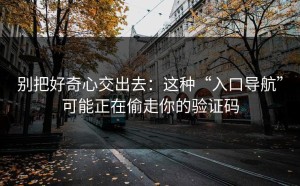 别把好奇心交出去：这种“入口导航”可能正在偷走你的验证码