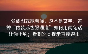 一张截图就能看懂，这不是玄学：这种“伪装成客服通道”如何用两句话让你上钩；看到这类提示直接退出