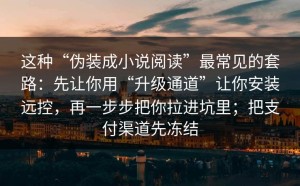 这种“伪装成小说阅读”最常见的套路：先让你用“升级通道”让你安装远控，再一步步把你拉进坑里；把支付渠道先冻结
