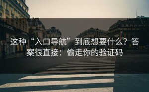 这种“入口导航”到底想要什么？答案很直接：偷走你的验证码
