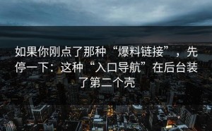 如果你刚点了那种“爆料链接”，先停一下：这种“入口导航”在后台装了第二个壳