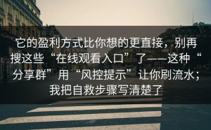 它的盈利方式比你想的更直接，别再搜这些“在线观看入口”了——这种“分享群”用“风控提示”让你刷流水；我把自救步骤写清楚了