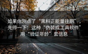 如果你刚点了“黑料正能量往期”，先停一下：这种“伪装成工具软件”用“验证年龄”套信息