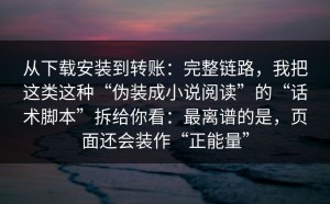 从下载安装到转账：完整链路，我把这类这种“伪装成小说阅读”的“话术脚本”拆给你看：最离谱的是，页面还会装作“正能量”