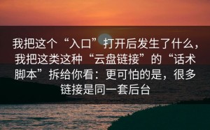 我把这个“入口”打开后发生了什么，我把这类这种“云盘链接”的“话术脚本”拆给你看：更可怕的是，很多链接是同一套后台