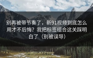 别再被带节奏了，新91视频到底怎么用才不后悔？我把标签组合这关踩明白了（别被误导）