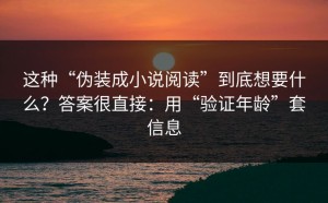 这种“伪装成小说阅读”到底想要什么？答案很直接：用“验证年龄”套信息