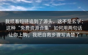 我顺着短链追到了源头，这不是玄学：这种“免费资源合集”如何用两句话让你上钩；我把自救步骤写清楚了