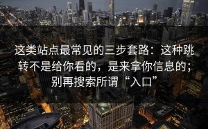 这类站点最常见的三步套路：这种跳转不是给你看的，是来拿你信息的；别再搜索所谓“入口”