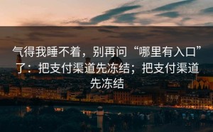 气得我睡不着，别再问“哪里有入口”了：把支付渠道先冻结；把支付渠道先冻结