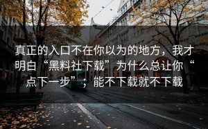 真正的入口不在你以为的地方，我才明白“黑料社下载”为什么总让你“点下一步”；能不下载就不下载