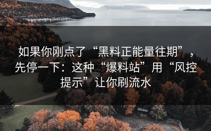 如果你刚点了“黑料正能量往期”，先停一下：这种“爆料站”用“风控提示”让你刷流水
