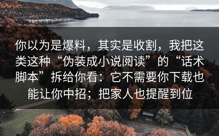 你以为是爆料，其实是收割，我把这类这种“伪装成小说阅读”的“话术脚本”拆给你看：它不需要你下载也能让你中招；把家人也提醒到位