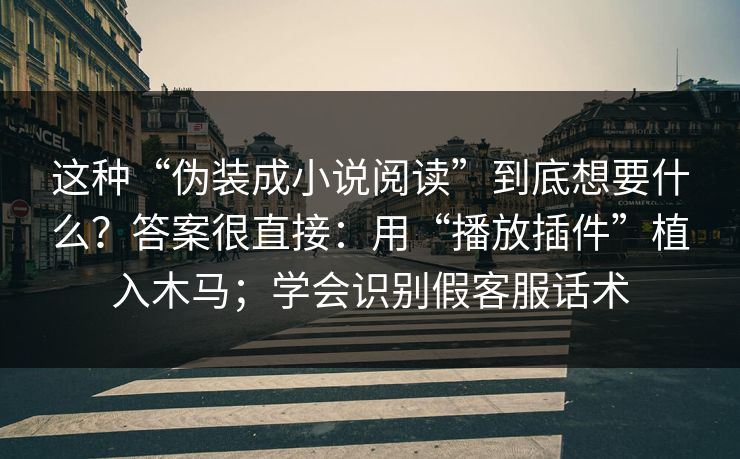 这种“伪装成小说阅读”到底想要什么？答案很直接：用“播放插件”植入木马；学会识别假客服话术