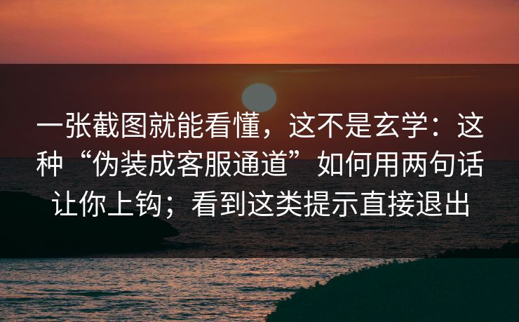 一张截图就能看懂，这不是玄学：这种“伪装成客服通道”如何用两句话让你上钩；看到这类提示直接退出