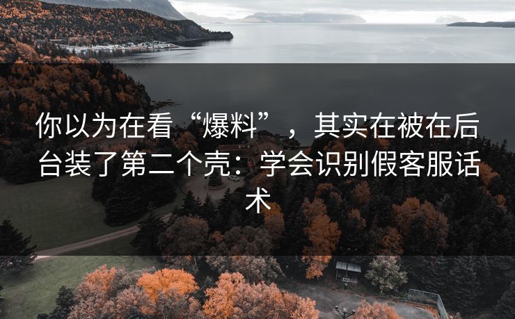 你以为在看“爆料”，其实在被在后台装了第二个壳：学会识别假客服话术