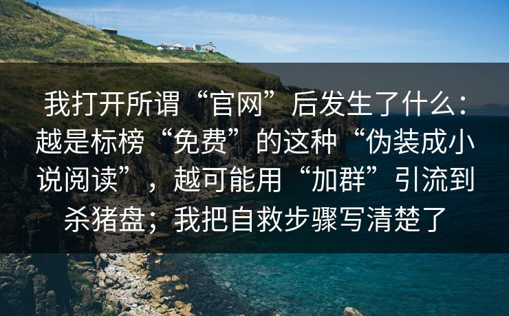 我打开所谓“官网”后发生了什么：越是标榜“免费”的这种“伪装成小说阅读”，越可能用“加群”引流到杀猪盘；我把自救步骤写清楚了
